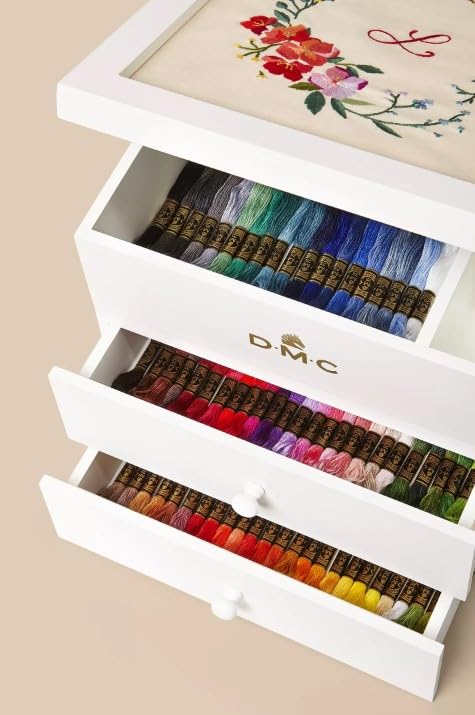 Amazon.com: DMC Modular Storage Box Includes 100 Skeins of DMC Six